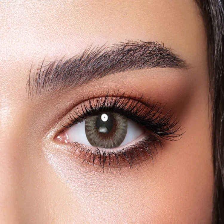 Bella One Day Color Contact Lenses Platinum Gray