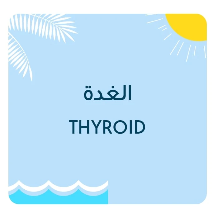 Thyroid Medication