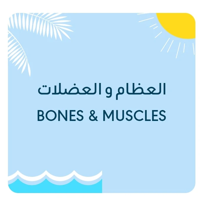 Bones & Muscles Medication