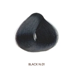 Sanotint Hair Color 01 black