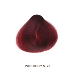 Sanotint Hair Color 22 Claret Frutti di bosco