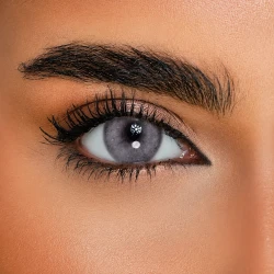 DESIO ATTITUDE REBEL GREY 1 DAY