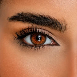 DESIO ATITUD ETERNAL BROWN 1 MONTH