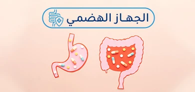 Digestive system